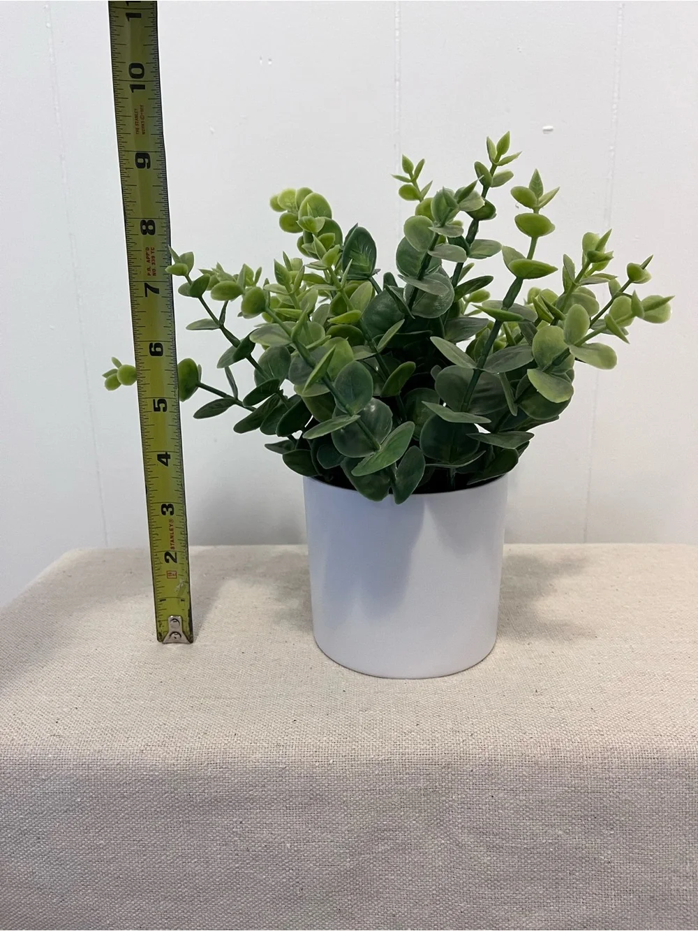 Project 62 Faux Plant